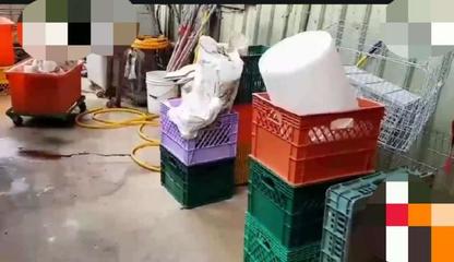 “坏蛋”频现 蛋品公司四年十七次违规背后的市场隐忧